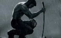 pic for The Wolverine Movie 2013 